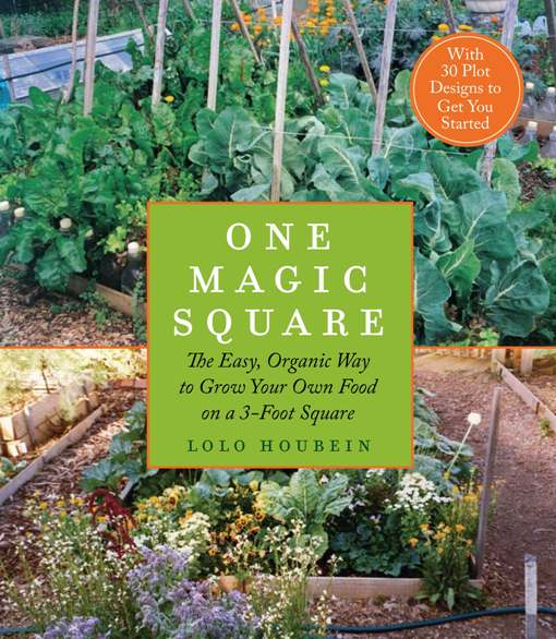 Title details for One Magic Square by Lolo Houbein - Available